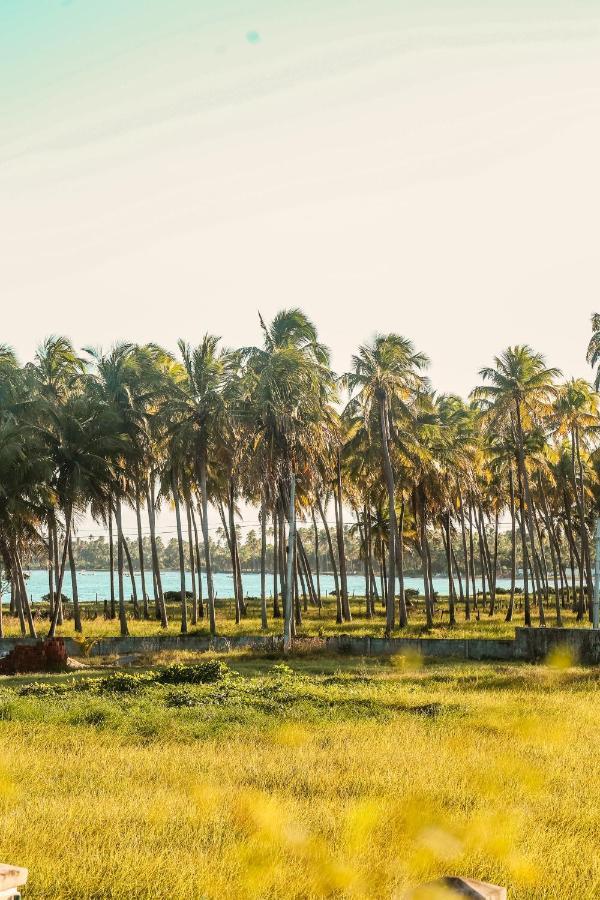 Casa Seriguela - Praia Do Patacho - Rota Ecologica Dos Milagres Pôrto de Pedras Esterno foto