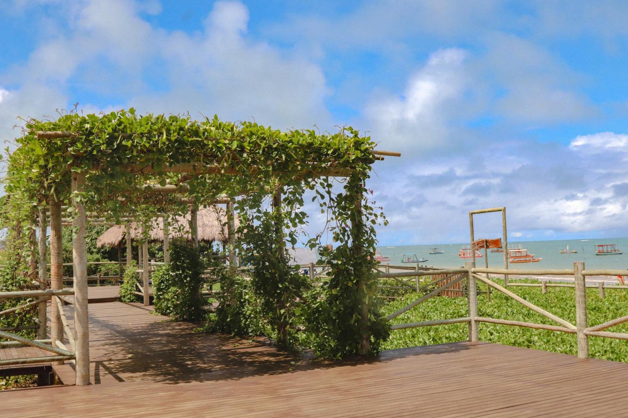 Casa Seriguela - Praia Do Patacho - Rota Ecologica Dos Milagres Pôrto de Pedras Esterno foto